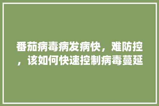 番茄病毒病发病快，难防控，该如何快速控制病毒蔓延_怎么种植番茄不害病呢 番茄病毒病发病快，难防控，该如何快速控制病毒蔓延_怎么种植番茄不害病呢 番茄种植技巧