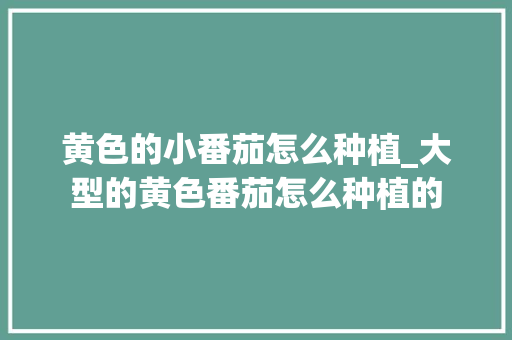 黄色的小番茄怎么种植_大型的黄色番茄怎么种植的 黄色的小番茄怎么种植_大型的黄色番茄怎么种植的 番茄病虫害防治