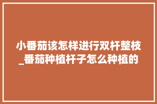小番茄该怎样进行双杆整枝_番茄种植杆子怎么种植的视频