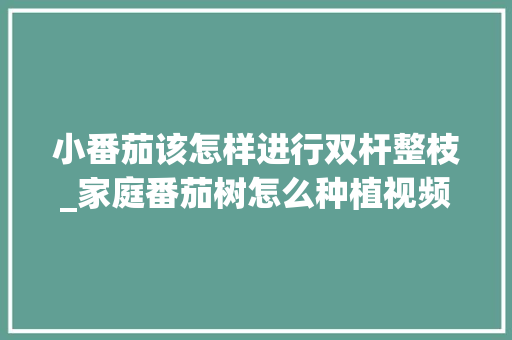 小番茄该怎样进行双杆整枝_家庭番茄树怎么种植视频教程