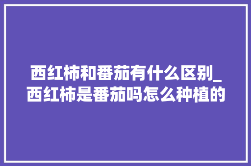 西红柿和番茄有什么区别_西红柿是番茄吗怎么种植的 西红柿和番茄有什么区别_西红柿是番茄吗怎么种植的 土壤施肥