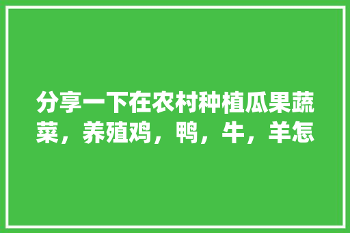 分享一下在农村种植瓜果蔬菜，养殖鸡，鸭，牛，羊怎么样_潍坊蔬菜种植技巧视频讲解 分享一下在农村种植瓜果蔬菜，养殖鸡，鸭，牛，羊怎么样_潍坊蔬菜种植技巧视频讲解 土壤施肥