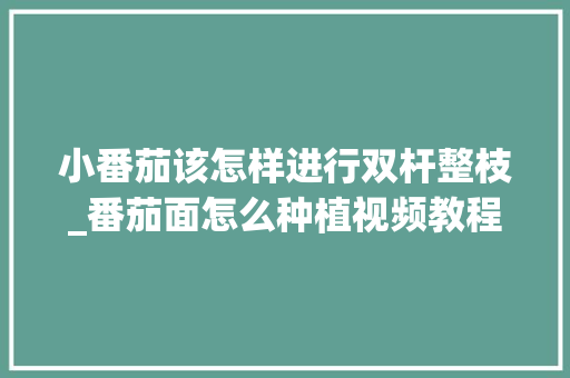 小番茄该怎样进行双杆整枝_番茄面怎么种植视频教程 小番茄该怎样进行双杆整枝_番茄面怎么种植视频教程 番茄病虫害防治