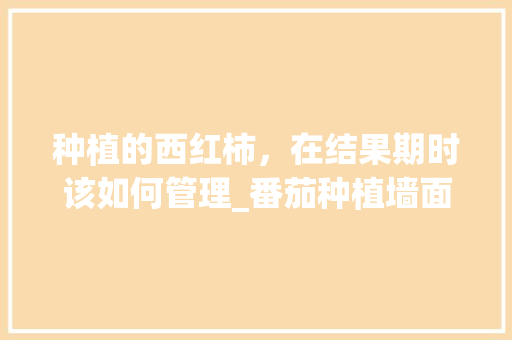 种植的西红柿，在结果期时该如何管理_番茄种植墙面怎么处理好看