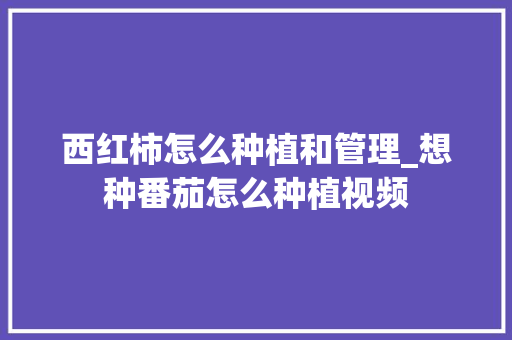 西红柿怎么种植和管理_想种番茄怎么种植视频