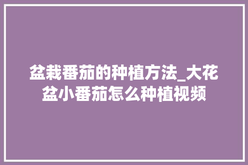 盆栽番茄的种植方法_大花盆小番茄怎么种植视频 种植技巧 盆栽番茄的种植方法_大花盆小番茄怎么种植视频 盆栽番茄的种植方法_大花盆小番茄怎么种植视频 种植技巧