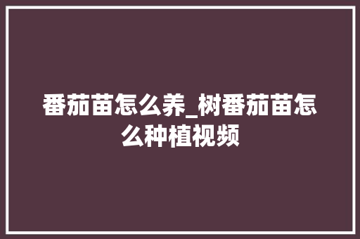 番茄苗怎么养_树番茄苗怎么种植视频