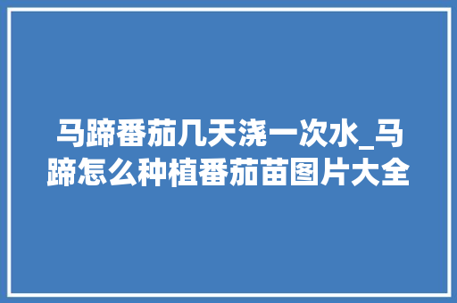 马蹄番茄几天浇一次水_马蹄怎么种植番茄苗图片大全 马蹄番茄几天浇一次水_马蹄怎么种植番茄苗图片大全 土壤施肥