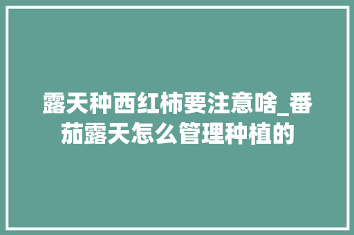 露天种西红柿要注意啥_番茄露天怎么管理种植的