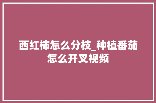 西红柿怎么分枝_种植番茄怎么开叉视频 西红柿怎么分枝_种植番茄怎么开叉视频 植物种类