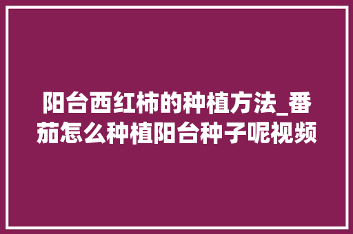 阳台西红柿的种植方法_番茄怎么种植阳台种子呢视频