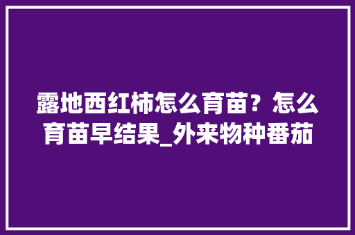 露地西红柿怎么育苗？怎么育苗早结果_外来物种番茄怎么种植的