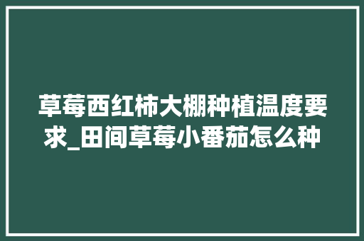草莓西红柿大棚种植温度要求_田间草莓小番茄怎么种植视频
