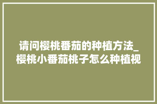 请问樱桃番茄的种植方法_樱桃小番茄桃子怎么种植视频