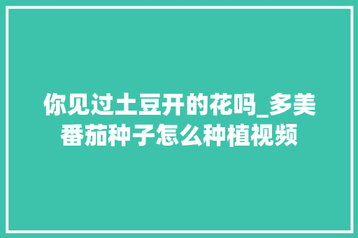 你见过土豆开的花吗_多美番茄种子怎么种植视频