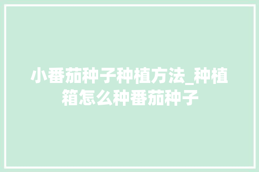 小番茄种子种植方法_种植箱怎么种番茄种子