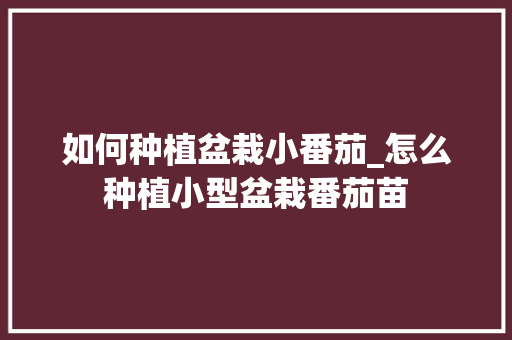 如何种植盆栽小番茄_怎么种植小型盆栽番茄苗 如何种植盆栽小番茄_怎么种植小型盆栽番茄苗 番茄病虫害防治