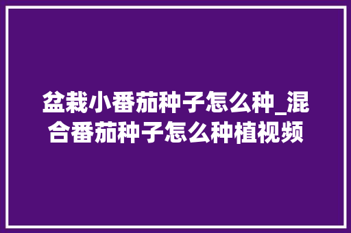 盆栽小番茄种子怎么种_混合番茄种子怎么种植视频