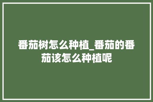 番茄树怎么种植_番茄的番茄该怎么种植呢 番茄树怎么种植_番茄的番茄该怎么种植呢 番茄种植技巧