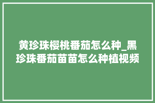 黄珍珠樱桃番茄怎么种_黑珍珠番茄苗苗怎么种植视频 黄珍珠樱桃番茄怎么种_黑珍珠番茄苗苗怎么种植视频 植物种类