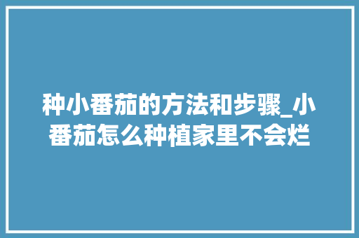 种小番茄的方法和步骤_小番茄怎么种植家里不会烂