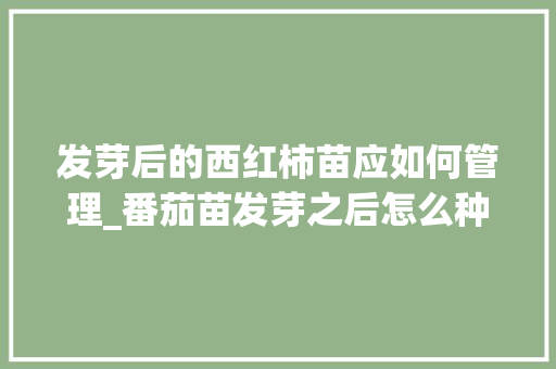 发芽后的西红柿苗应如何管理_番茄苗发芽之后怎么种植视频