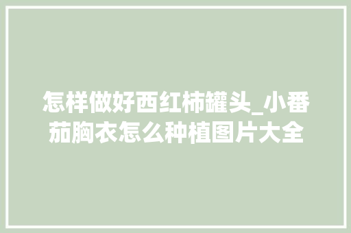 怎样做好西红柿罐头_小番茄胸衣怎么种植图片大全