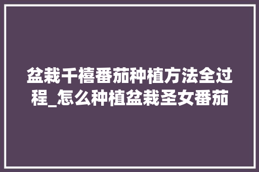 盆栽千禧番茄种植方法全过程_怎么种植盆栽圣女番茄视频