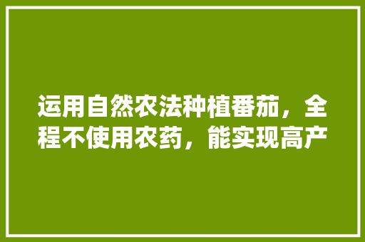 运用自然农法种植番茄，全程不使用农药，能实现高产高品质吗_番茄怎么种植最好活