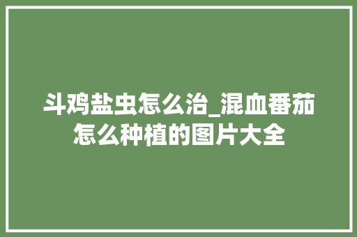 斗鸡盐虫怎么治_混血番茄怎么种植的图片大全 斗鸡盐虫怎么治_混血番茄怎么种植的图片大全 农业常识