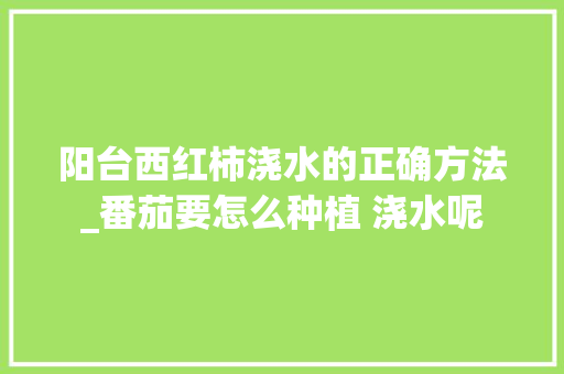 阳台西红柿浇水的正确方法_番茄要怎么种植 浇水呢