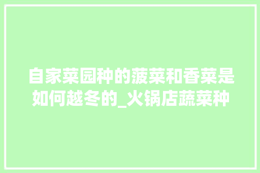 自家菜园种的菠菜和香菜是如何越冬的_火锅店蔬菜种植技巧和方法