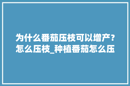 为什么番茄压枝可以增产？怎么压枝_种植番茄怎么压枝好看视频