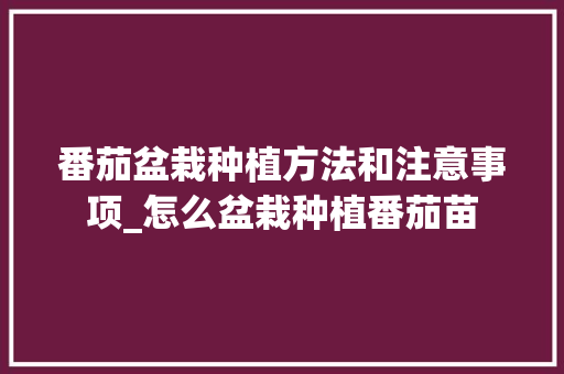 番茄盆栽种植方法和注意事项_怎么盆栽种植番茄苗