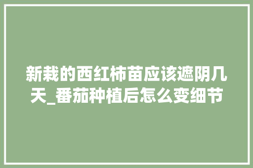 新栽的西红柿苗应该遮阴几天_番茄种植后怎么变细节了