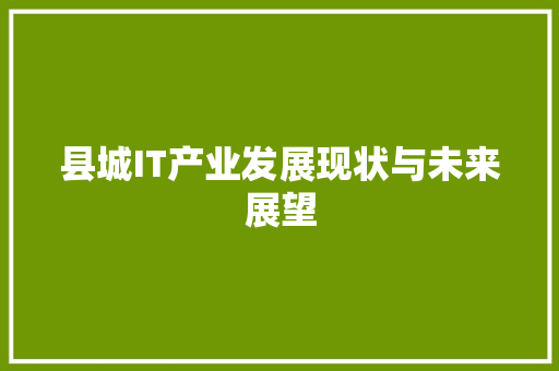 县城IT产业发展现状与未来展望