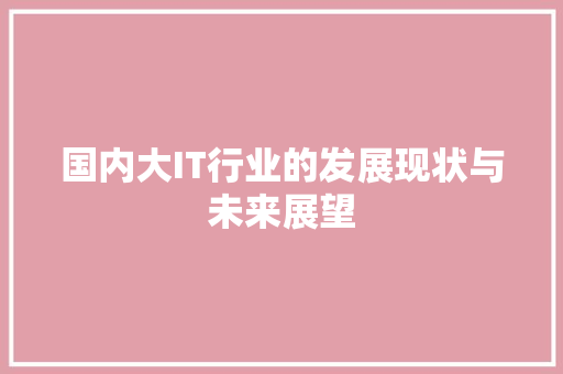 国内大IT行业的发展现状与未来展望