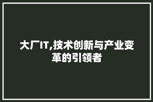 大厂IT,技术创新与产业变革的引领者