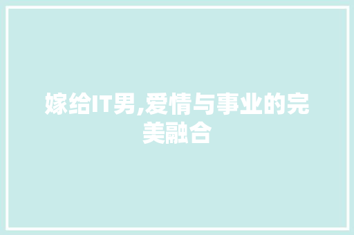 嫁给IT男,爱情与事业的完美融合
