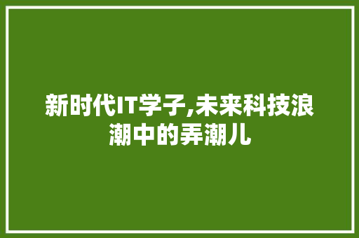 新时代IT学子,未来科技浪潮中的弄潮儿