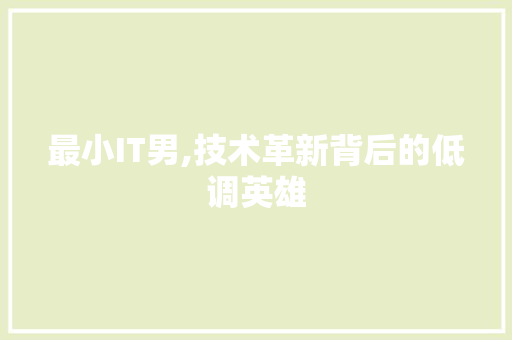 最小IT男,技术革新背后的低调英雄