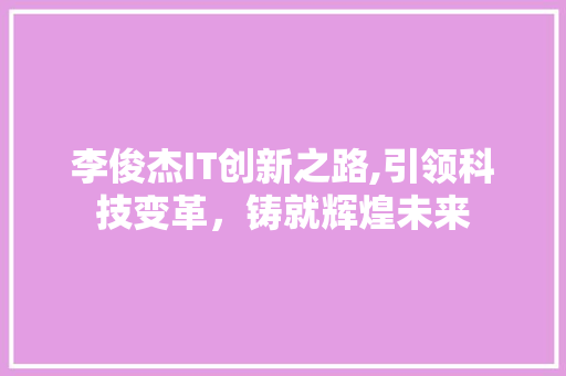 李俊杰IT创新之路,引领科技变革，铸就辉煌未来
