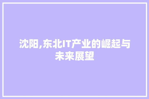 沈阳,东北IT产业的崛起与未来展望 番茄种植技巧