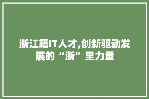 浙江籍IT人才,创新驱动发展的“浙”里力量