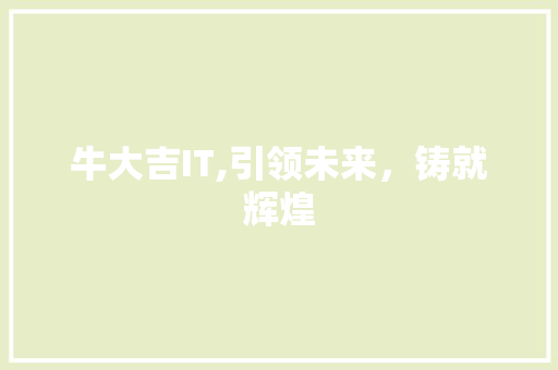 牛大吉IT,引领未来，铸就辉煌