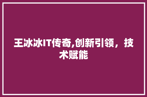 王冰冰IT传奇,创新引领，技术赋能