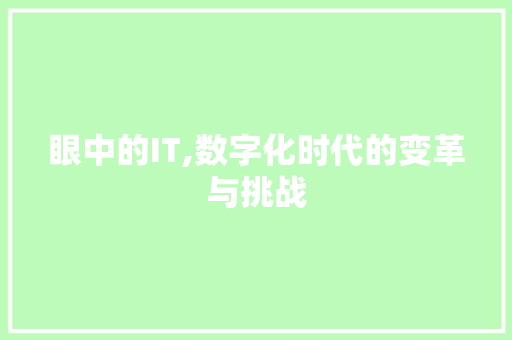 眼中的IT,数字化时代的变革与挑战