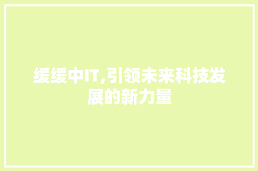 缓缓中IT,引领未来科技发展的新力量