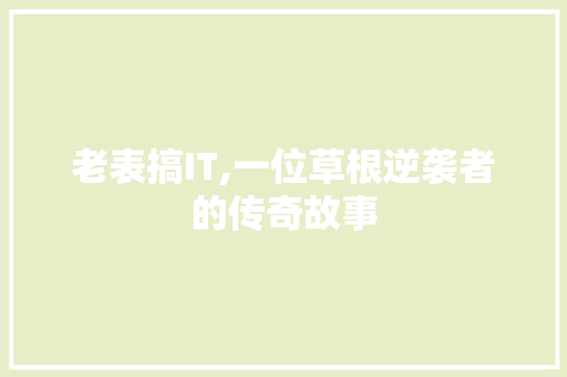 老表搞IT,一位草根逆袭者的传奇故事