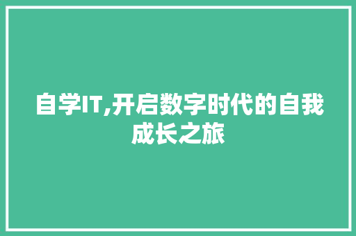 自学IT,开启数字时代的自我成长之旅